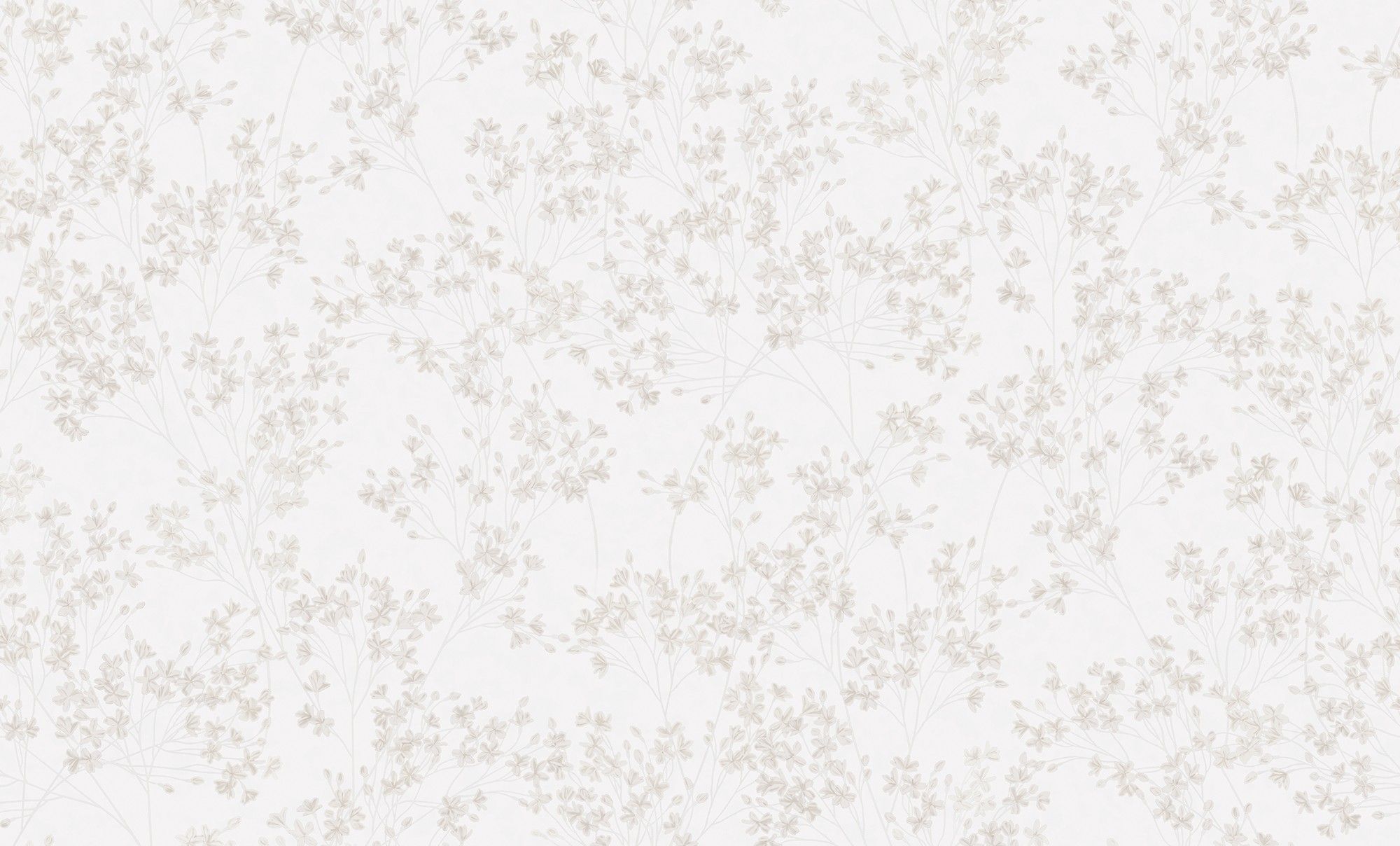 00-00016217