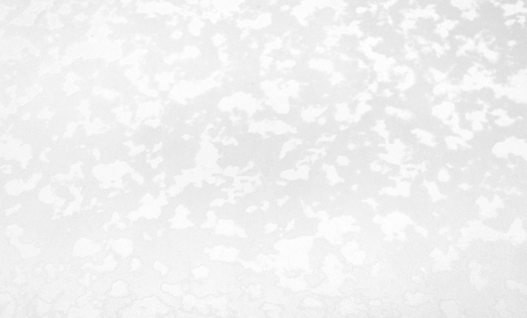 00-00016218-4