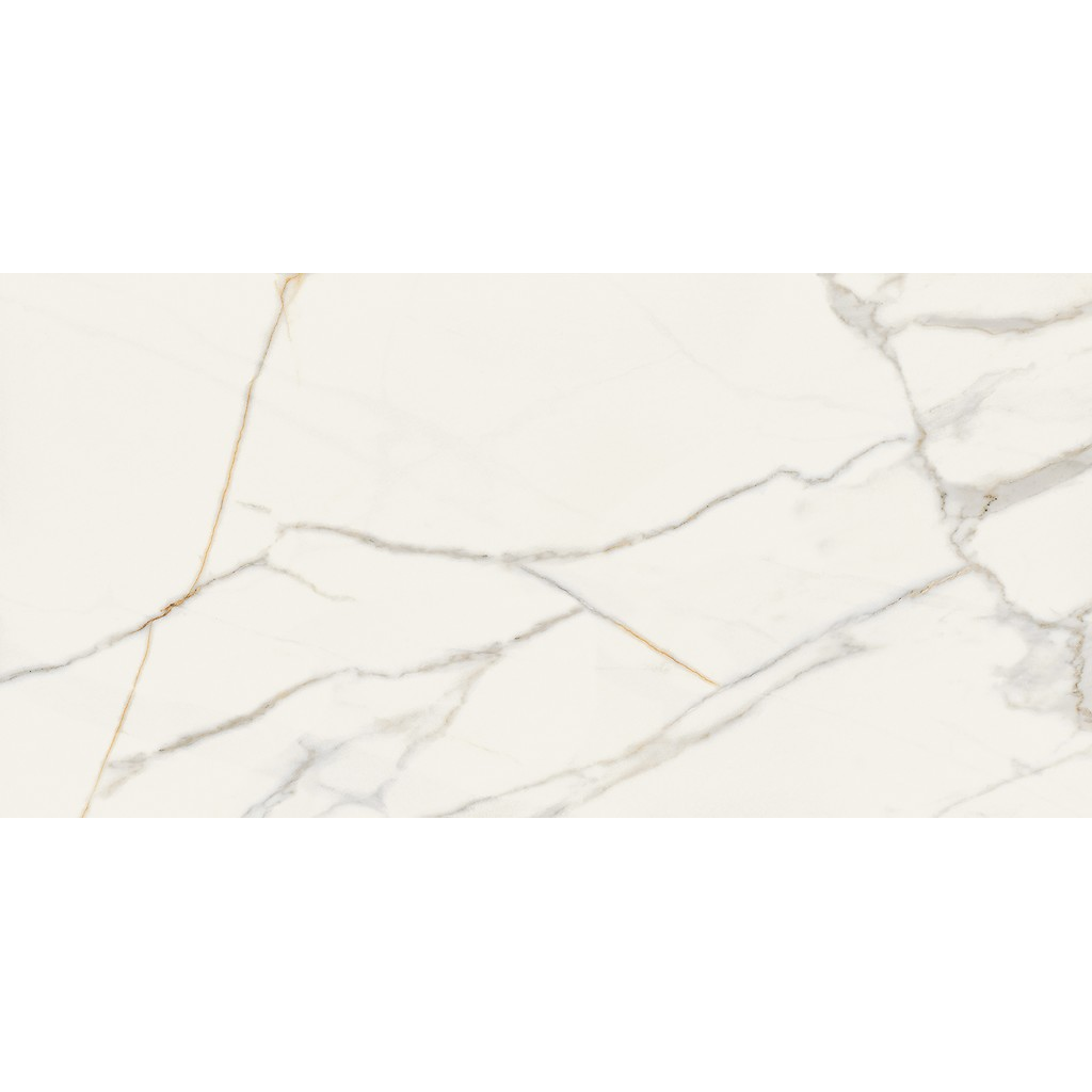 er-00016964-4