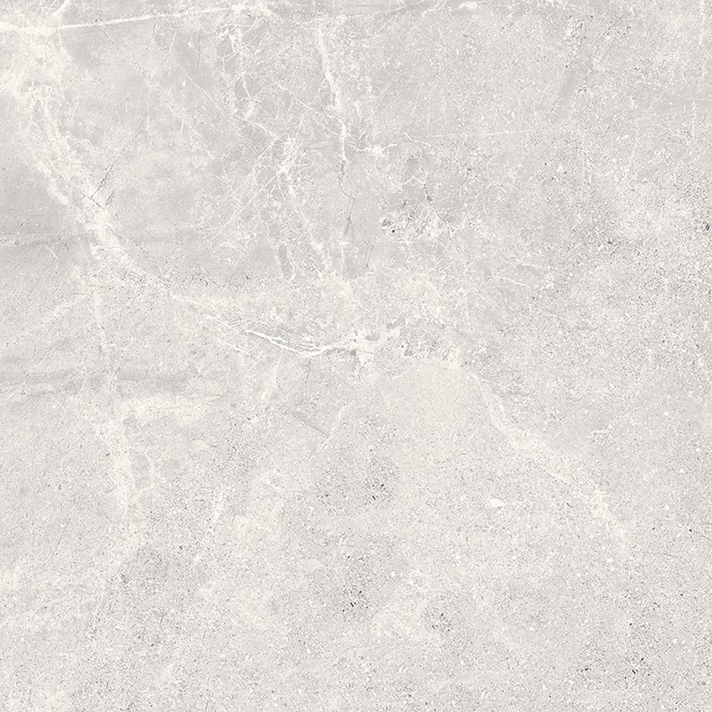 er-00016950-1