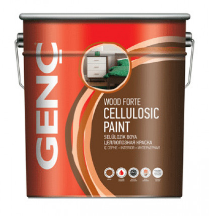 GENC NITRO PAINT N71007111 BN100.00 0.75L METALLIC. GRAY