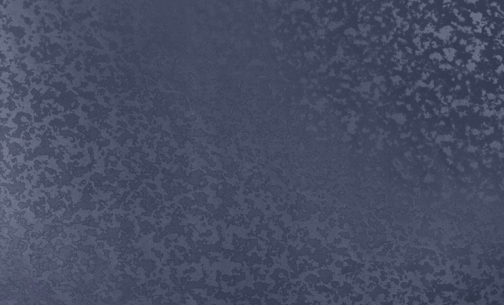 00-00016219-5