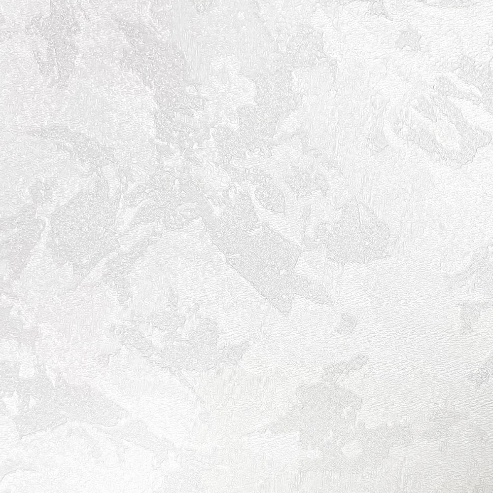 er-00018820-2