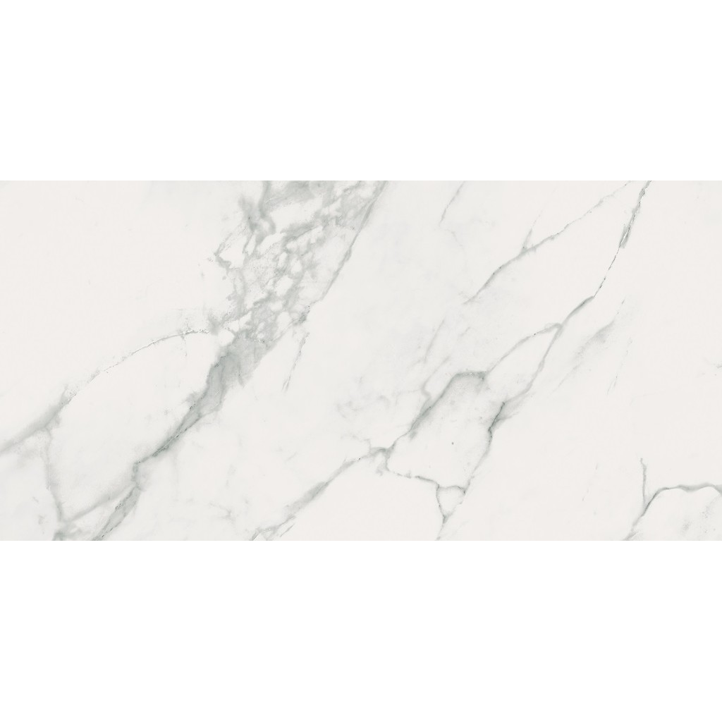 er-00016958-1