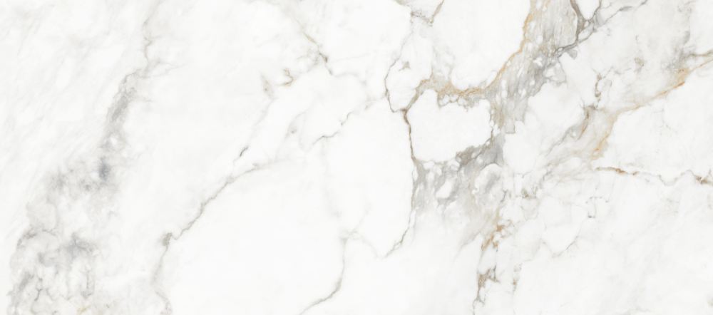 Screenshot 2025-08-25 121539