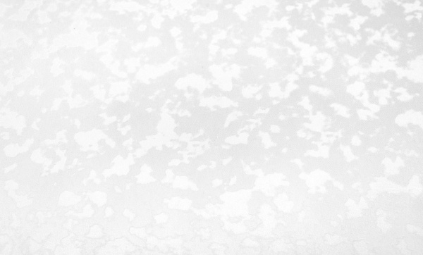 00-00016218-4