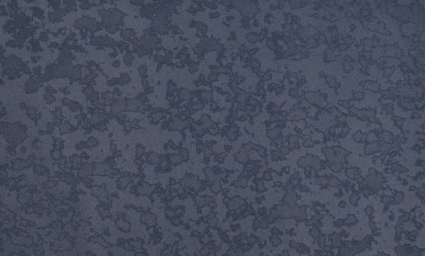 00-00016219-4